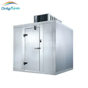 10*8 * 8ft soğuk oda Chiller içinde yürümek Walk-in soğutucu kapı abd'de