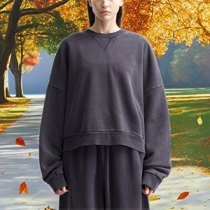 Sweat-shirt à col rond surdimensionné, couleur unie, style minimaliste, pull en tricot unisexe, vêtements d'automne - Product Image 2