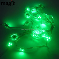 DMX 512 UCS1903 WS2811 12V SPI RGB Numérique 30mm Pixel LED Adressable IP67 pour Éclairage Décoratif de Paysage