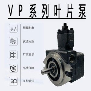 ปั๊มวาล์วแปรผันแบบอินเตอร์แวริเบิล VP-40-40 250 บาร์ ปั๊มน้ำมันไฮดรอลิก ขับเคลื่อนด้วยไฟฟ้า แบบขั้นตอนเดียว - Product Image 2