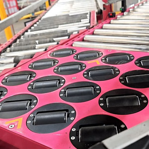 Модульный роликовый сортировщик LUHUI с возможностью сортировки по нескольким категориям, конвейерный сортировщик с балансировочными колесами для пищевых продуктов - Product Image 5