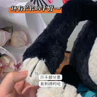 Nouvelle Peluche Jelly Catt Jack 2024, Poupée Chat Geely, Poupée Chat Noir, Cadeau
