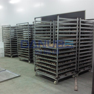 Máquina de Secado de Champiñones con Bomba de Calor Certificada de Calidad, Deshidratador de Champiñones, Equipo de Secado de Champiñones - Product Image 5