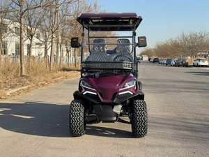 Voiturette de golf électrique tout-terrain personnalisée QiFan Shandong Factory avec batterie au plomb-acide 48V 150Ah - Product Image 3