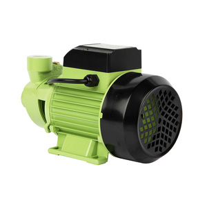 Pompe à eau périphérique électrique de haute qualité Qb60 1/2 CV, pompe à eau périphérique <span class=keywords><strong>Qb</strong></span> pour l'agriculture - Product Image 3