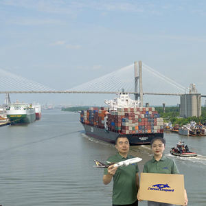 海运公司由Seato亚马逊FBA从中国到阿联酋沙特阿拉伯迪拜DDP集装箱运输 - Product Image 3