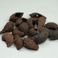 Kerincingan Cangkang Kacang Dark Moonin 24 atau 50 Buah Penggetar Biji Alami untuk Efek Suara Relaksasi, Rekaman ASMR, dan Meditasi