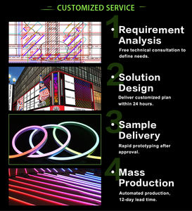 2025 più venduto RGB LED Neon Flex Strip luci dalla Cina notte decorazioni di natale on-line mercato forniture di luce LED Neon - Product Image 6