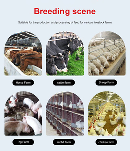 Diesel chaff máy cắt mini chuff rơm Máy nghiền gia cầm động vật gia súc thức ăn làm cỏ Shredder Ủ Chua Chopper - Product Image 4