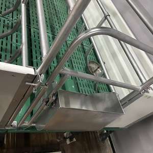 Nuova Gabbia di Parto Tipo H per Suini, Gabbia di Svezzamento in Acciaio al Carbonio Q235, Attrezzatura Agricola con 1 Anno di Garanzia, Modello A62 - Product Image 5