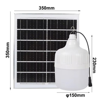 Ampoule Solaire LED Rechargeable avec Télécommande IP65, Lampe Suspendue pour Extérieur, Camping et Marché de Nuit