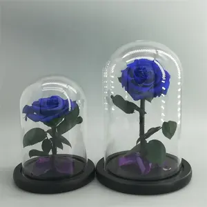 Boîte à roses romantique préservée pour cadeau de fête, boîtes à fleurs en verre de luxe