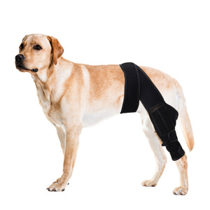 Soporte Ortopédico Personalizado para Patas <span class=keywords><strong>de</strong></span> Perro, para LCA, Soporte para Rodilla <span class=keywords><strong>de</strong></span> Mascotas, Protector <span class=keywords><strong>de</strong></span> Patas, Reduce el Dolor Articular, Soporte para Rodilla <span class=keywords><strong>de</strong></span> Perro - Product Image 1