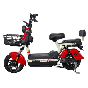 Vélo Électrique Pliable 3 Roues pour Adultes, 350W, 48V 1000W, avec Phare et Double Moteur, Kit Lithium, pour Femmes - Product Image 1
