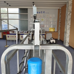 Grúa de construcción de pared Zlp630 Góndola Máquinas de limpieza Góndola suspendida eléctrica Malasia 6M ZLP630 Plataforma Susnepdend - Product Image 3