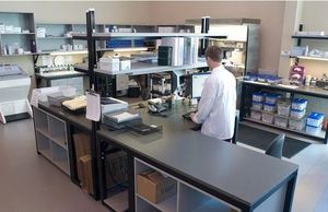 Kit Renin ELISA do rato - Product Image 5