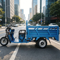 Pneus robustes Super Value Choice pour renforcer le matériau de l'essieu arrière du tricycle électrique de transport de marchandises