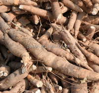 Usine Prix manioc éplucheur et trancheuse éplucheur de tapioca et déchiqueteuse manioc pelage et machine à trancher