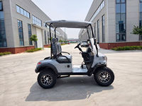 Lifted Off Road Diesel Golf Buggy 2 Seater Battery Operated Utility Cart for Industrial Park Theme Park Resort Maintenance Work