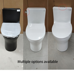 WC Tradizionale Americano ADA, Toilette in Ceramica Personalizzata, Comoda Allungata in Porcellana, WC Monoblocco Sifonico per Villa - Product Image 4