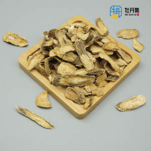 Bardana <span class=keywords><strong>Root</strong></span> <span class=keywords><strong>Niu</strong></span> <span class=keywords><strong>Bang</strong></span> <span class=keywords><strong>Gen</strong></span> Secas Erva Chinesa Alta Qualidade Exportação Fábrica Directsale Chá Melhor Preço - Product Image 2