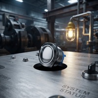 Interrupteur à bouton-poussoir en acier inoxydable IP65 16 mm avec combinaison 1NO LED 36V 2A pour contrôle industriel CE RoHS
