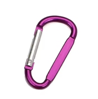 Mousqueton plat en alliage d'aluminium gravé OEM en forme de D, porte-clés promotionnel, crochet de hamac, accessoires de sac