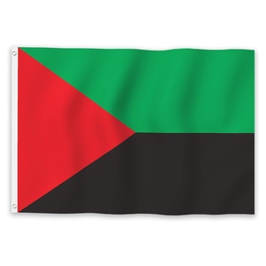 Bandera de <span class=keywords><strong>Guadalupe</strong></span> para el Día Nacional de la Independencia, 3x5 pies, Poliéster, Logotipo Personalizado, Dos Ojales de Latón, Eventos Deportivos, Interior/Exterior - Product Image 2