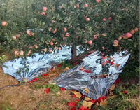 Film métallique réfléchissant moderne pour l'isolation thermique agricole, idéal pour les serres, les arbres fruitiers, les pommiers et les raisins