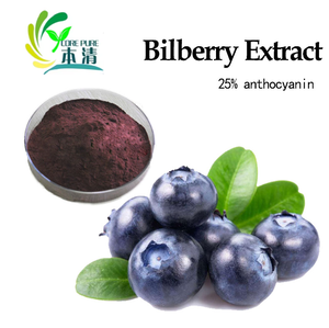 アントシアニジン純正ビルベリーフルーツエキス,25% ビルベリーフルーツエキス粉末 - Product Image 3