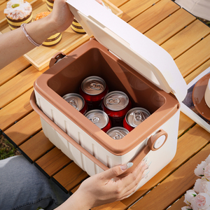 <span class=keywords><strong>Ice</strong></span> Cooler Box 6L ngoài trời di động với xử lý nhiệt hiện đại cá nhân nhựa bia Cooler tùy chỉnh màu sắc & logo PP mang nhãn hiệu - Product Image 3