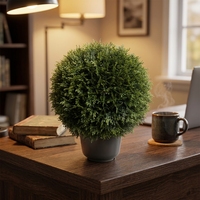 Plantes artificielles en gazon synthétique PE, résistantes aux UV, écologiques, ignifuges, réalistes, taille personnalisée, intérieur/extérieur