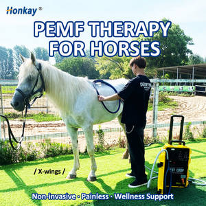 Mesin Terapi Magnet Layar Sentuh LCD 7 Inci Kontrol Ganda Terlaris untuk Pijat Tubuh yang Efektif dan Pemulihan Cepat Dengan Cli - Product Image 1