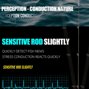 B Gama Mới 2.1M Balik olta Tốt Nhất Carbon Cần Câu Cá Ultralight Câu Cá Hồi Que Mồi Đúc Cần Câu Cho Biển - Product Image 5