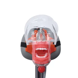 Ciência médica para as escolas simulador de treinamento dental fantasma unidade de simulador dental de cabeça de manequim