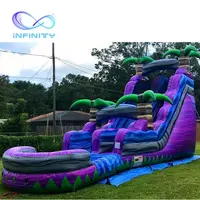 Commercial Inflatable Water Slide with Pool, PVC Material