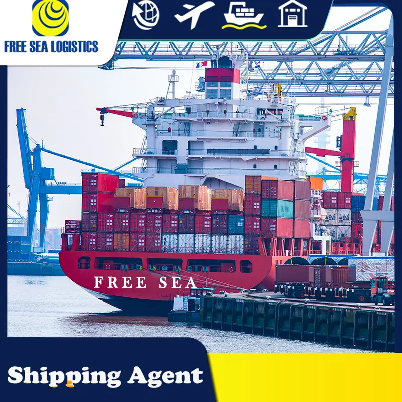 Migliori tariffe e servizio di trasporto ddp logistico più economico da Shenzhen a Dubai/Arabia saudita/Oman sea freight