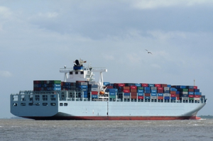 أرخص شحن بحري من شيامن الصين إلى كولمبو سري لانكا خدمة لوجستية موثوقة لمقدم الخدمة - Product Image 6