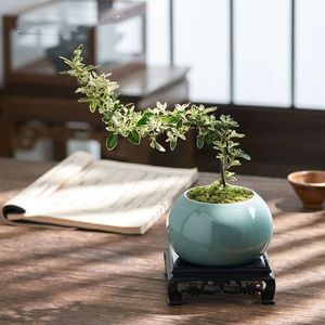 Juego de Macetas de Cerámica Ge Kiln al por Mayor, Macetas Vintage con Esmalte Agrietado para Bonsái, Musgo, Jardín, Suculentas, Decoración del Hogar - Product Image 1