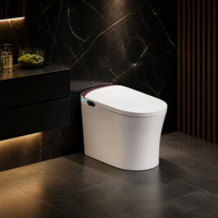 WC intelligent monobloc en céramique avec bidet intégré, sans bride, pour projets de rénovation