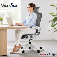 Chaise de bureau ergonomique en maille avec appui-tête réglable, charge statique 150 kg, dossier thoracique profilé KD S, certifiée BIFMA CE EN1335, vente en gros pour projets