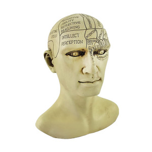Statua in Resina di <span class=keywords><strong>Testa</strong></span> Vittoriana per Frenologia, Effetto Spaventoso - Product Image 4