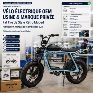 Vélo Électrique OEM, Style Rétro Moped à Pneus Larges, avec Logo Personnalisé, Fournisseur en Gros, Commande en Gros, Approvisionnement Direct Usine - Product Image 1
