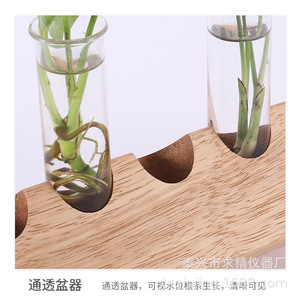 Seeking Excellence Glass Hydroponic Test Tube Vase Wooden Rack For Pothos Plant Desktop Ornament - Product Image 3
