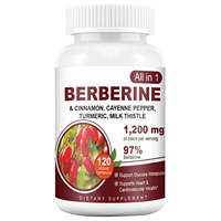 OEM ODM Capsules de berbérine complexe 5-en-1 à base de plantes naturelles quotidiennes avec cannelle de Ceylan et chardon-Marie, favorisent la perte de poids et le métabolisme