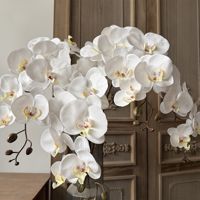 Buket Bunga Plastik Anggrek Phalaenopsis 9 Kepala Buatan untuk Dekorasi Rumah Tamu, Kafe, Festival, dan Perlengkapan Fotografi