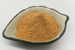 สารให้ความหวานผลไม้ <span class=keywords><strong>monk</strong></span> luohangoo สารสกัดให้ความหวานผลไม้ <span class=keywords><strong>monk</strong></span> 25% V 50% - Product Image 2