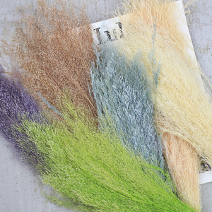Naturel Ins Most Hot belle couleur fleurs séchées fontaine herbe pour la décoration de la maison - Product Image 6