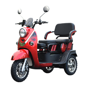 Tricycle électrique de marque Nzita, certifié EEC, scooter électrique, vélo cargo, tricycle électrique 1000w, voiture de loisirs pour adultes - Product Image 4