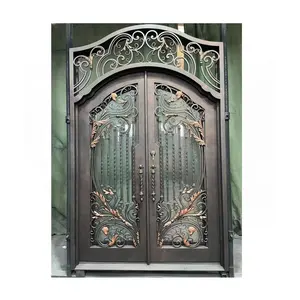 Продажа с завода, различные кованые входные двери из железа, дизайн железных ворот